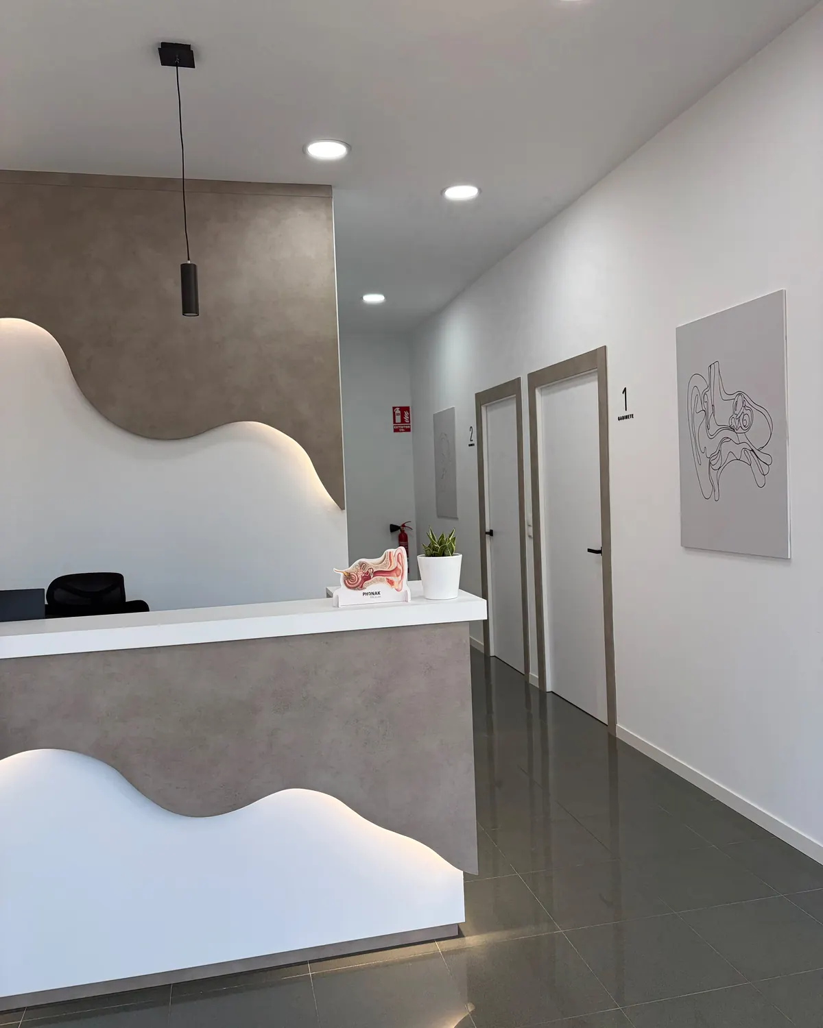 Recepción del centro PHONOS